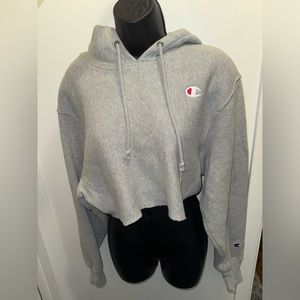 Champion Crop Hoodie